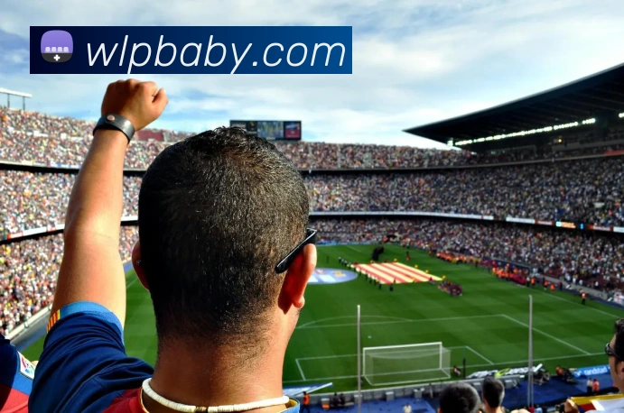 必一运动服务体系